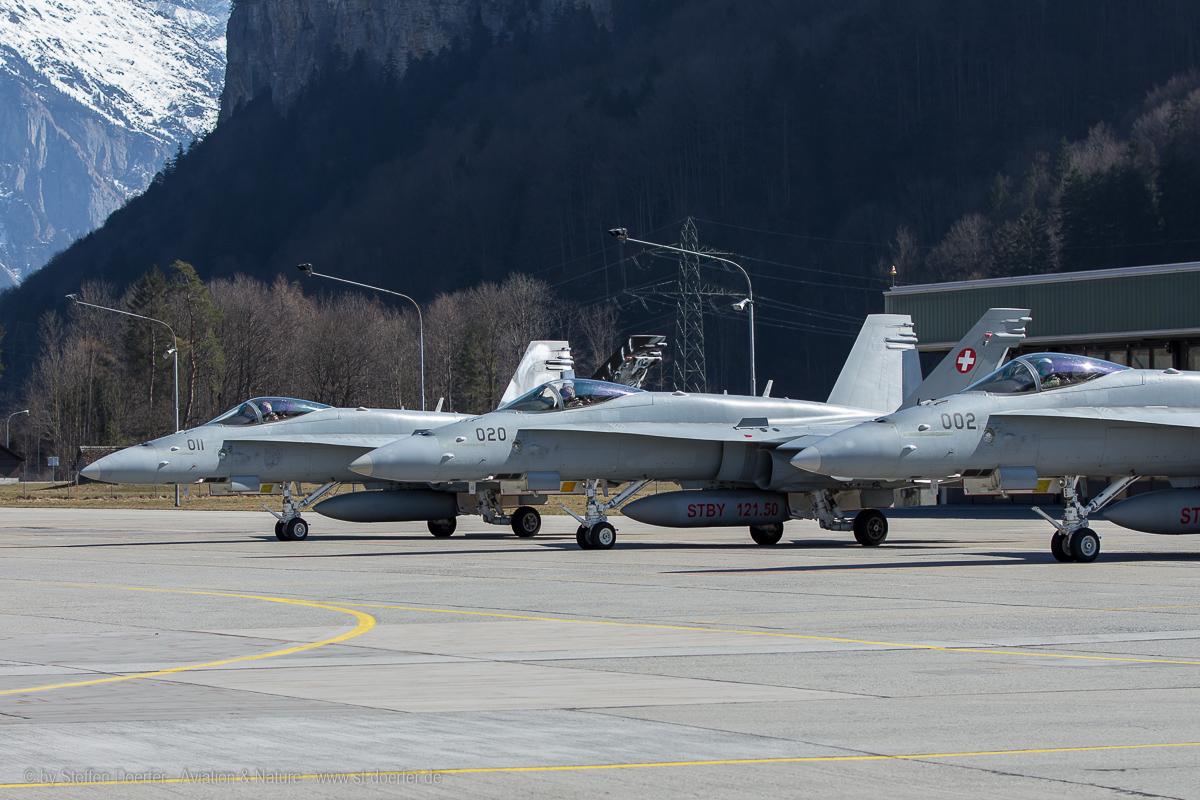100IMG_4045