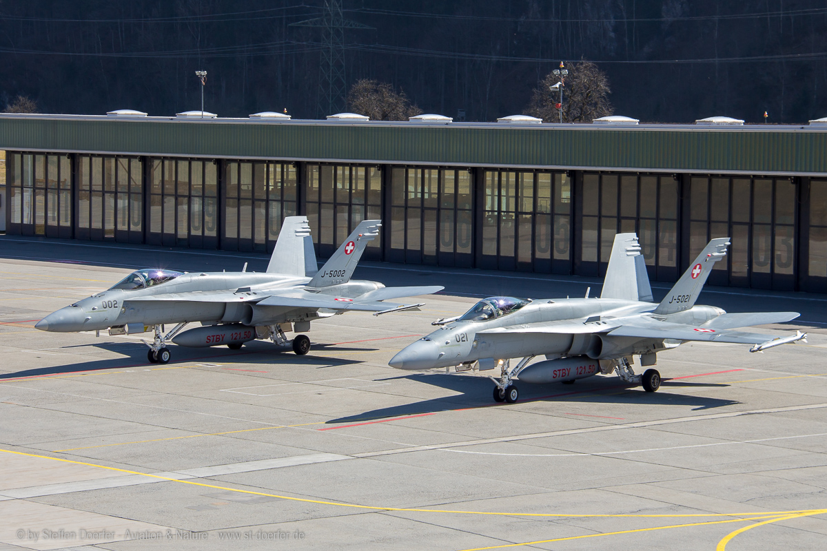 100IMG_4075