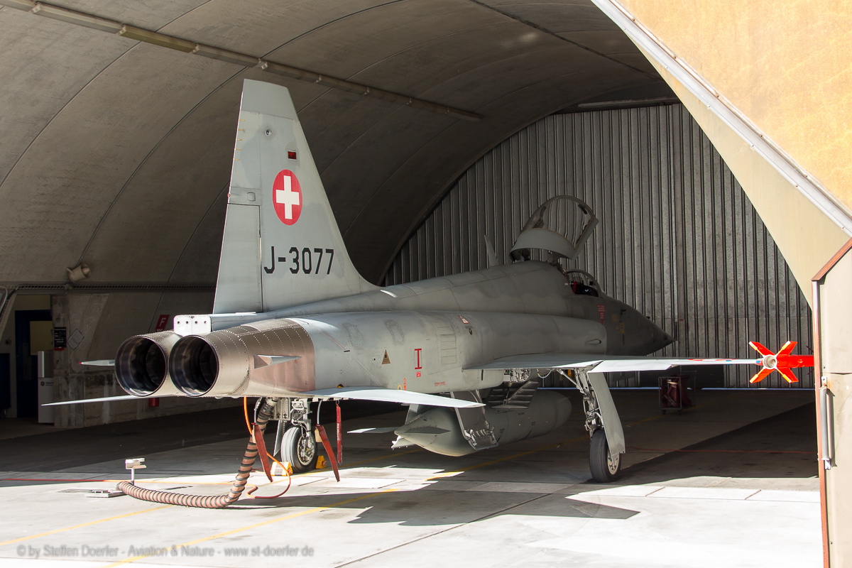 350IMG_4207