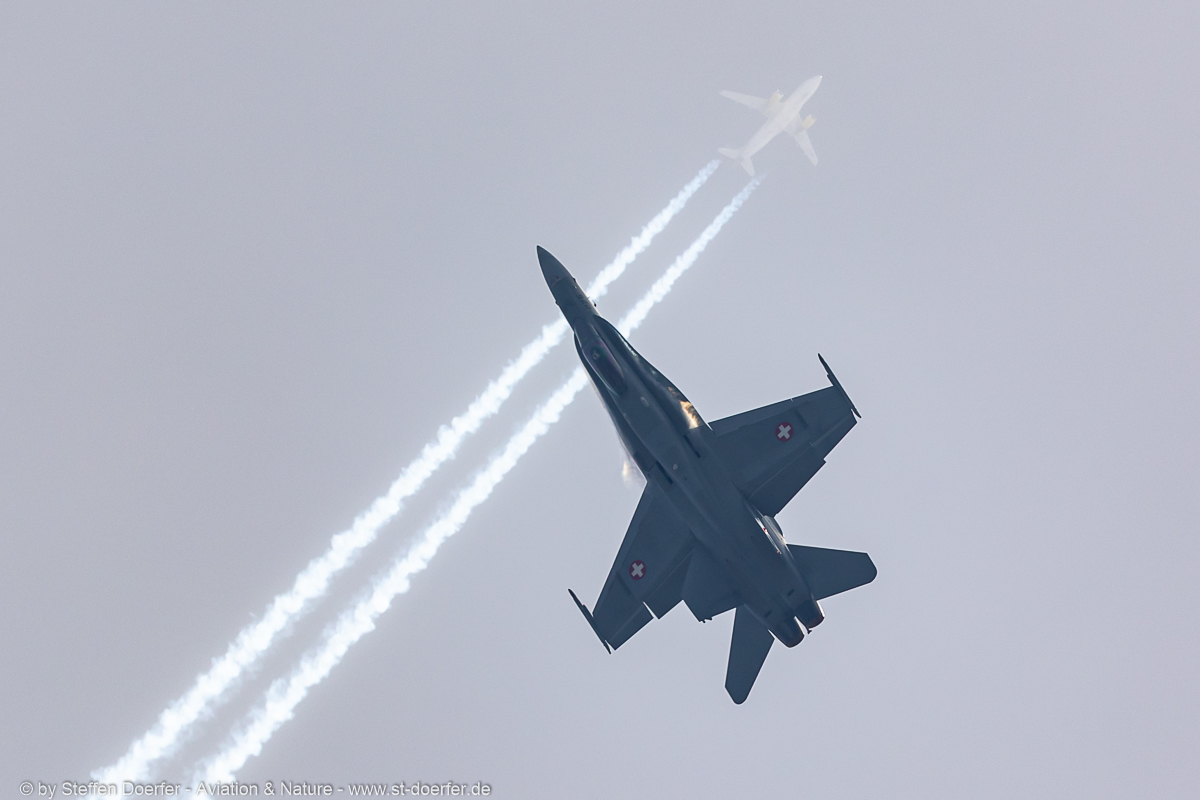 264JH3A6446