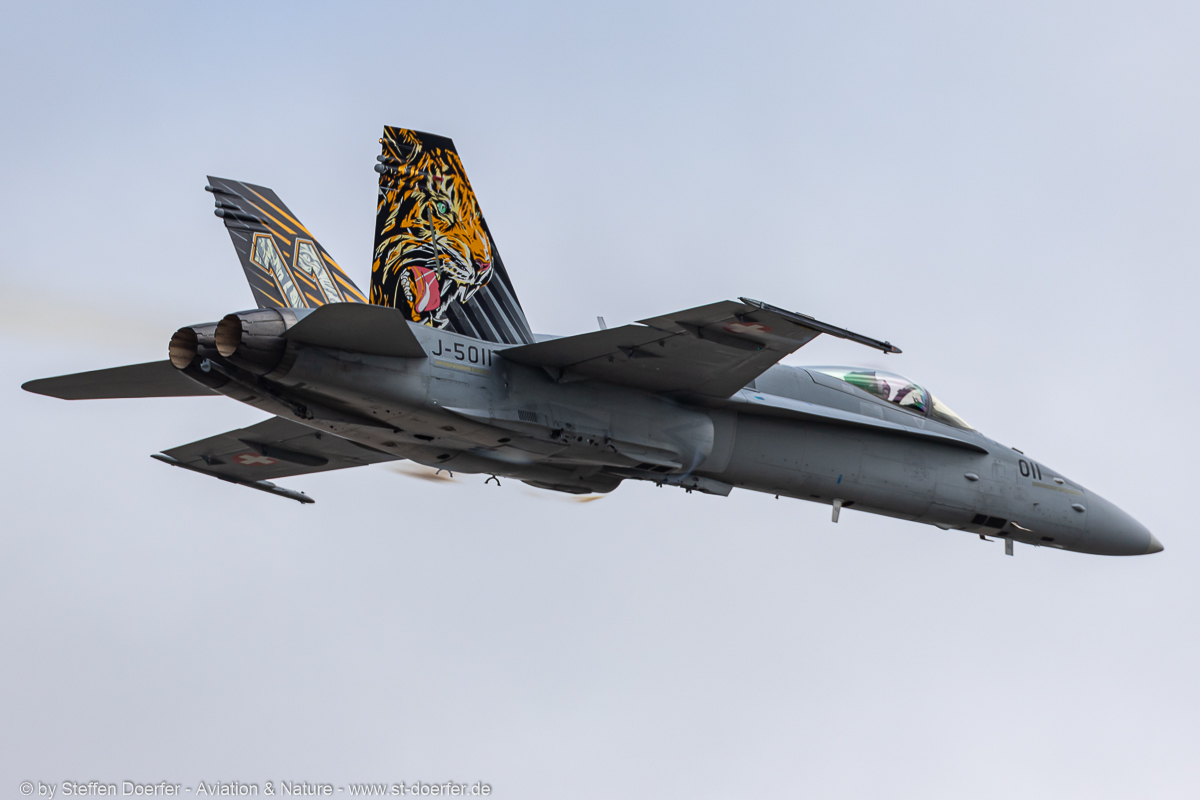 201JH3A3251