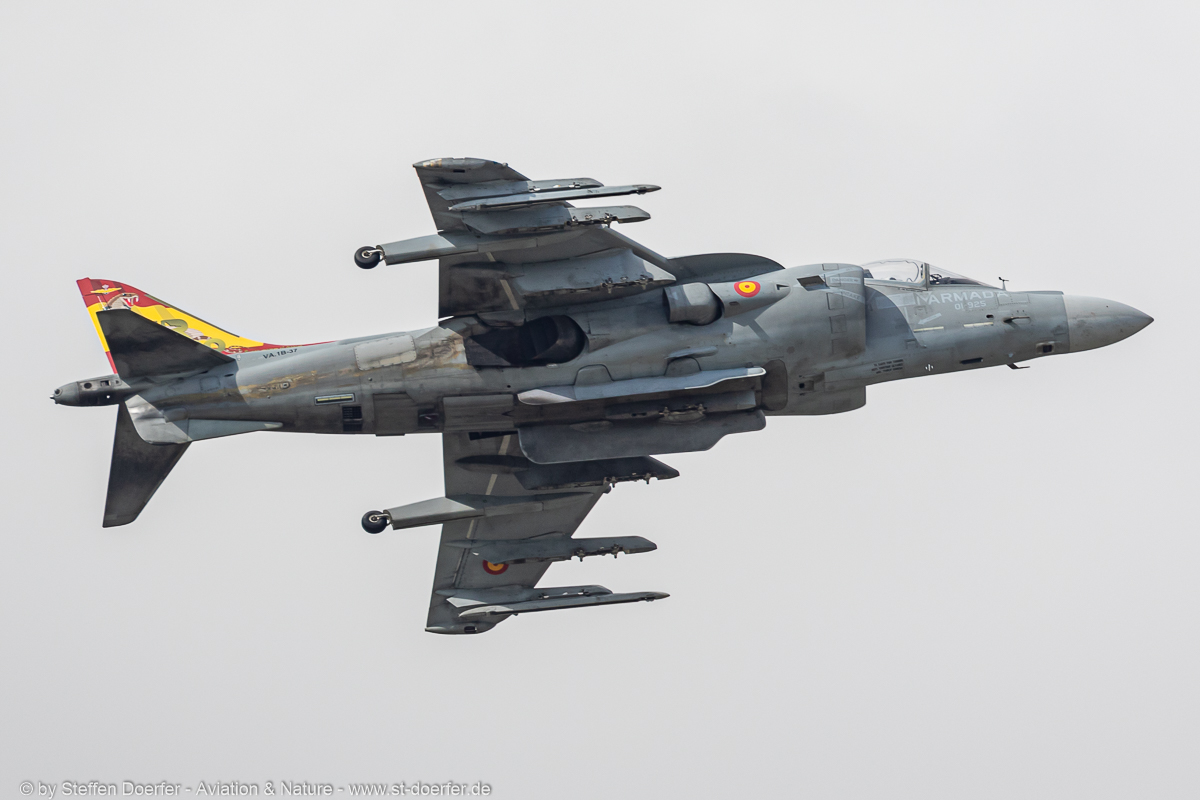 441JH3A4055