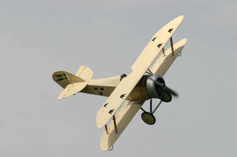 CRW_6675_RJ