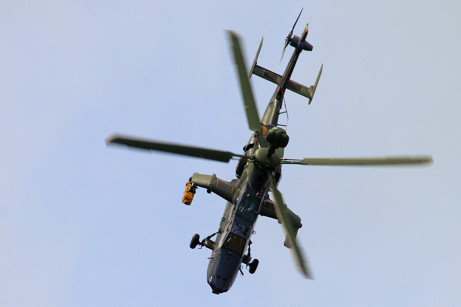 tiger-3-IMG_9798