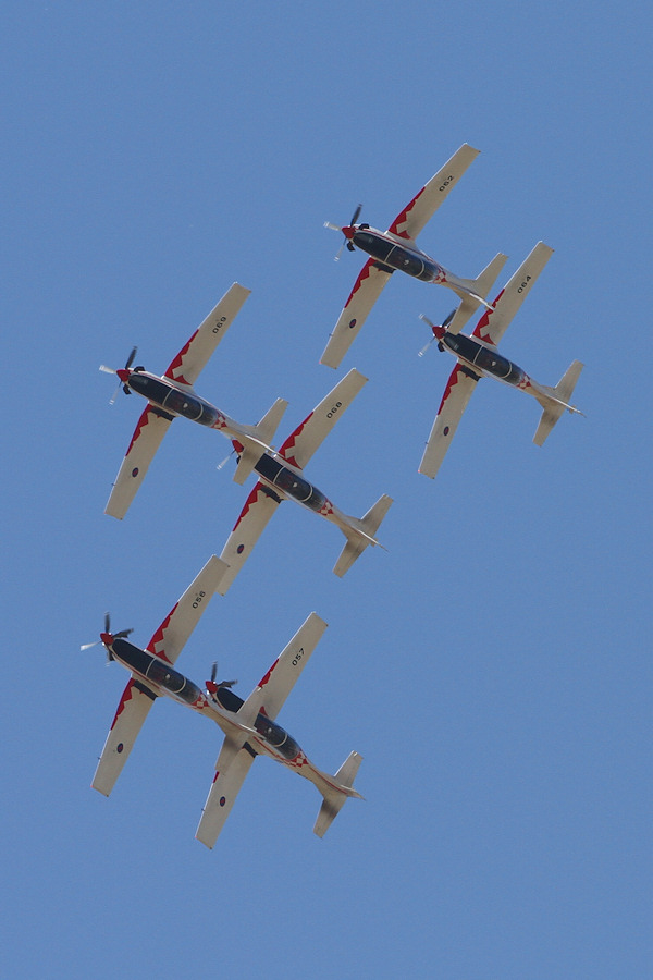 106IMG_4251