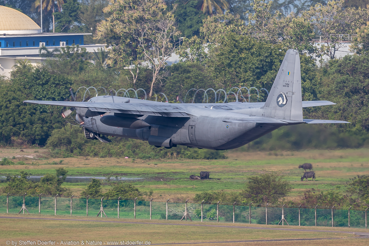 402JH3A2212