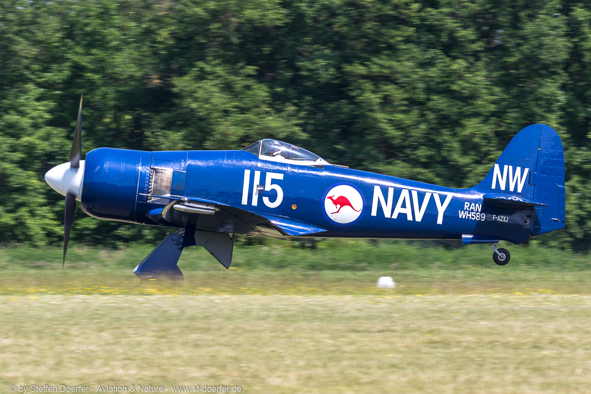 140IW5A7249