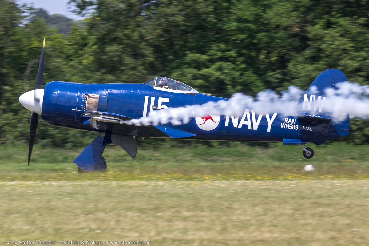 320IW5A8612