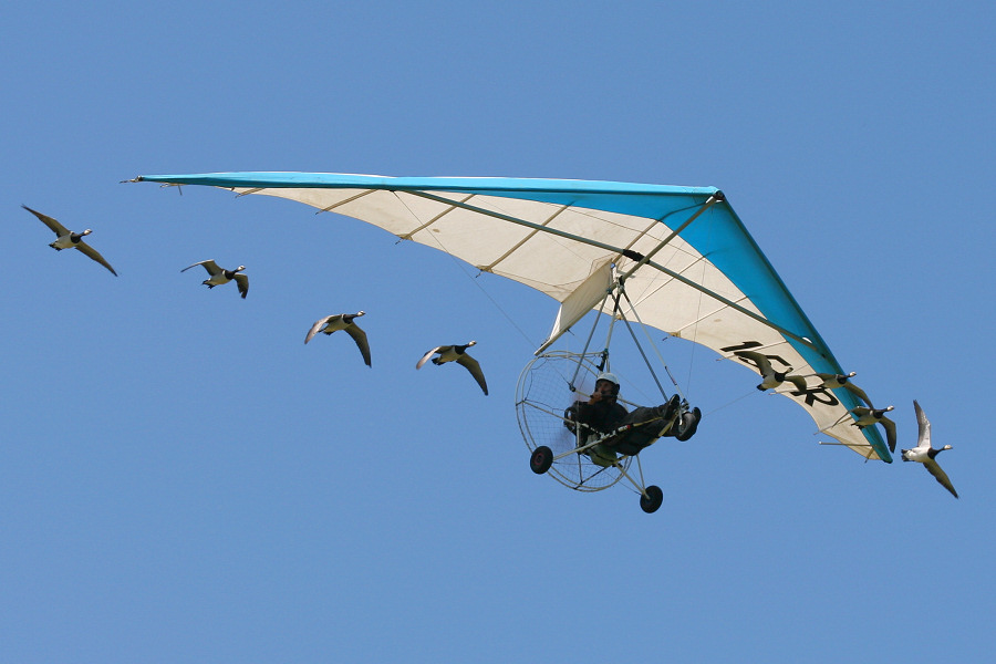 160IMG_7621