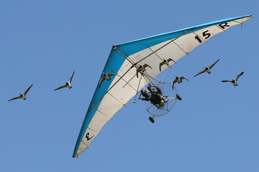 160IMG_7642