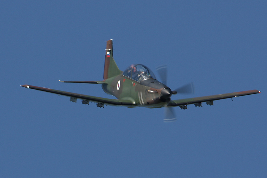 100IMG_8303