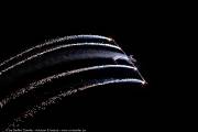 840CAA_8443