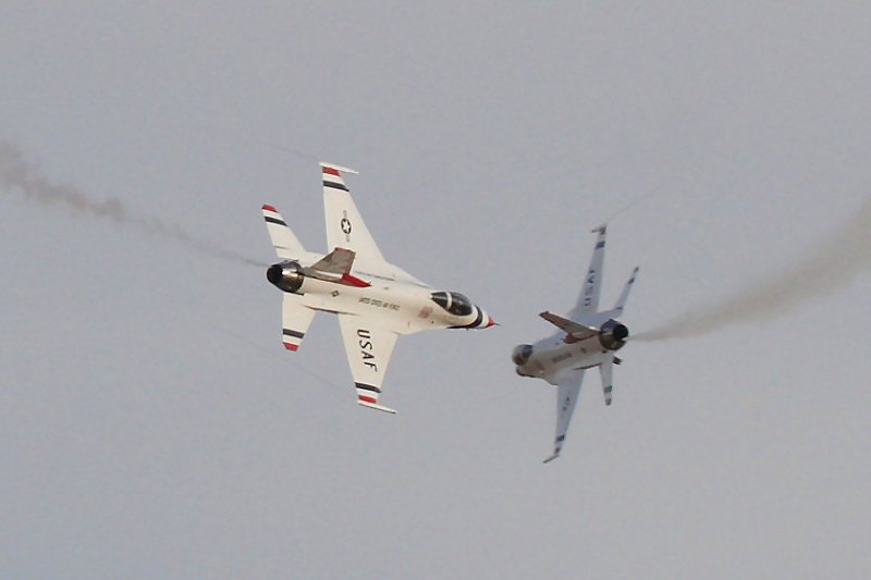 224IMG_4559