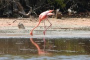 260IMG_2856