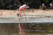 260IMG_2857