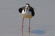 260IMG_2866