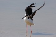 260IMG_2868
