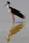 260IMG_2887