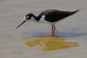 260IMG_2909