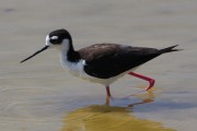 260IMG_2911
