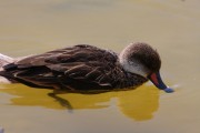 261IMG_2889