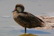 261IMG_2898