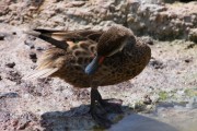 261IMG_2905