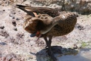 261IMG_2908