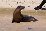 275IMG_1342