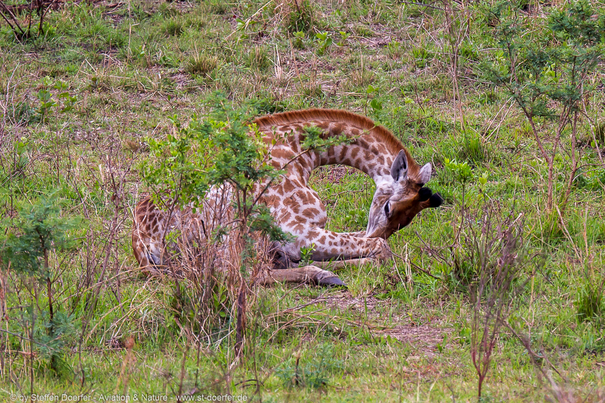 185IMG_7568
