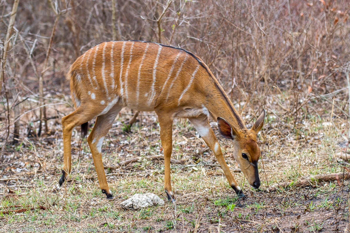 186IMG_7827