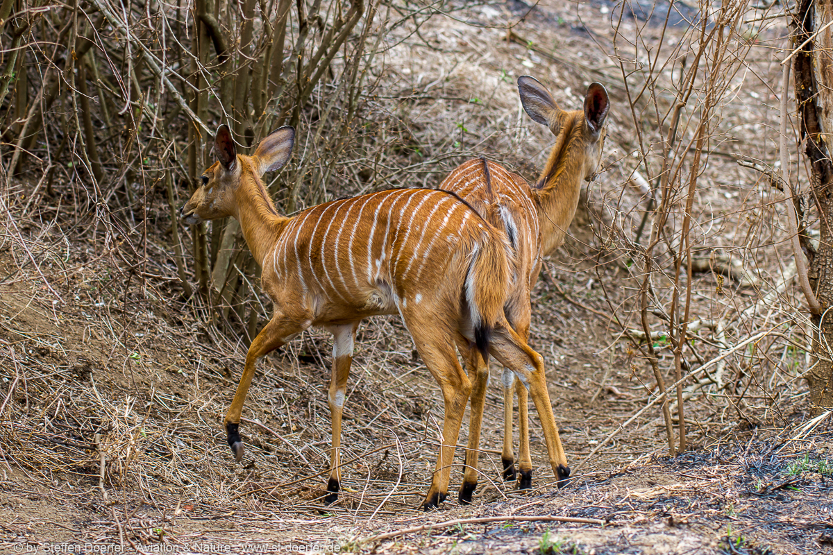 186IMG_7847