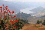 600IMG_5087