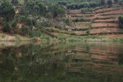610IMG_0400