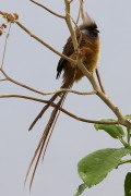 620IMG_0352