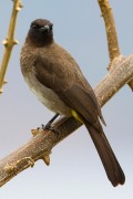 620IMG_0364