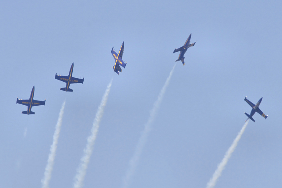 196IMG_7796