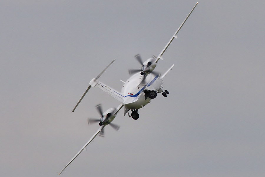 234IMG_7979