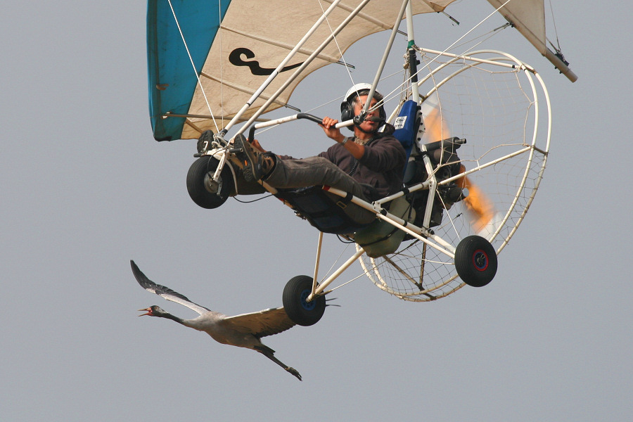 110IMG_2514